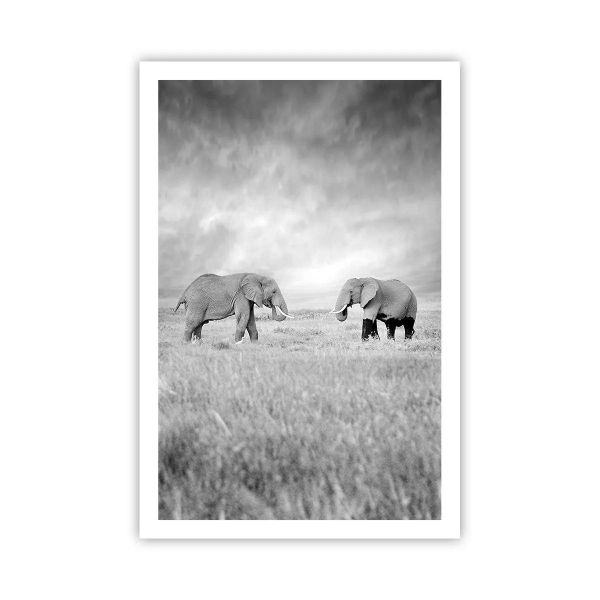 Poster - Grey Is Beautiful - 61x91 cm