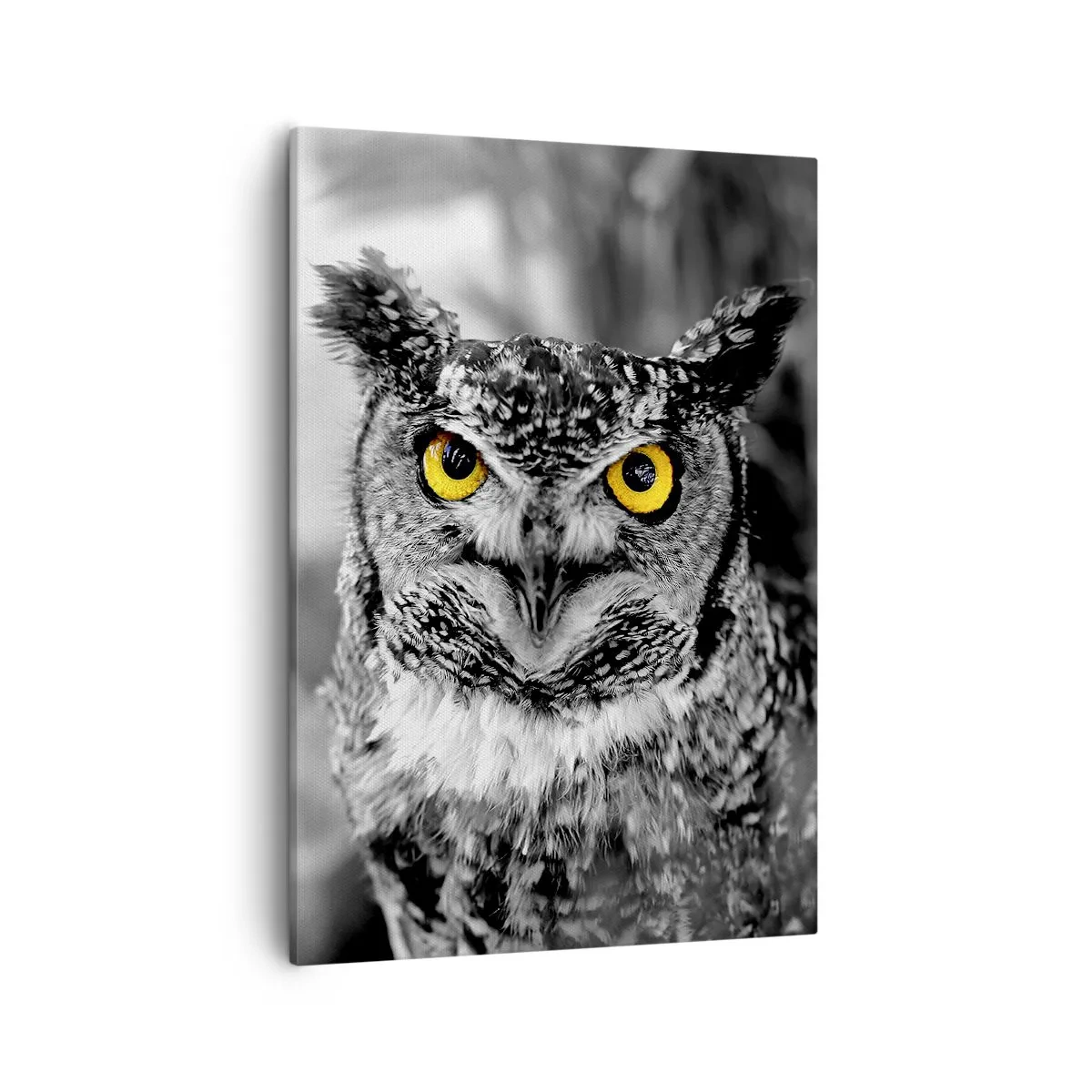 Canvas picture - Nothing Can Hide - 50x70 cm