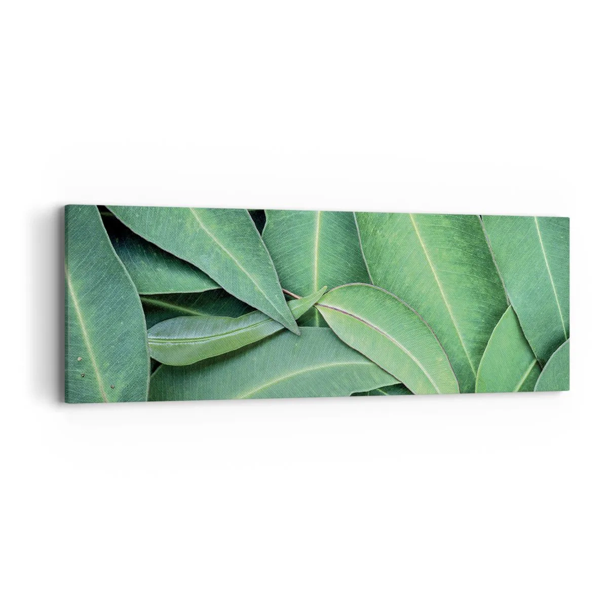 Canvas picture - Juicy and Fresh - 90x30 cm