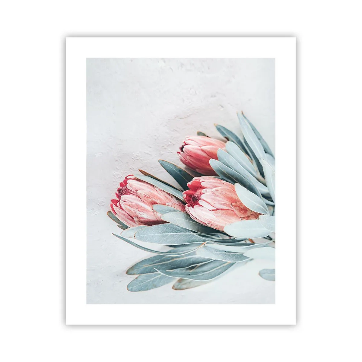 Poster - Ashamed of Their Own Beauty - 40x50 cm
