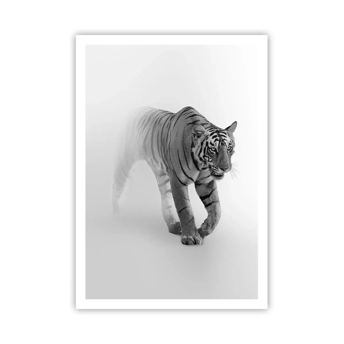 Poster - Crouching in Fog - 70x100 cm
