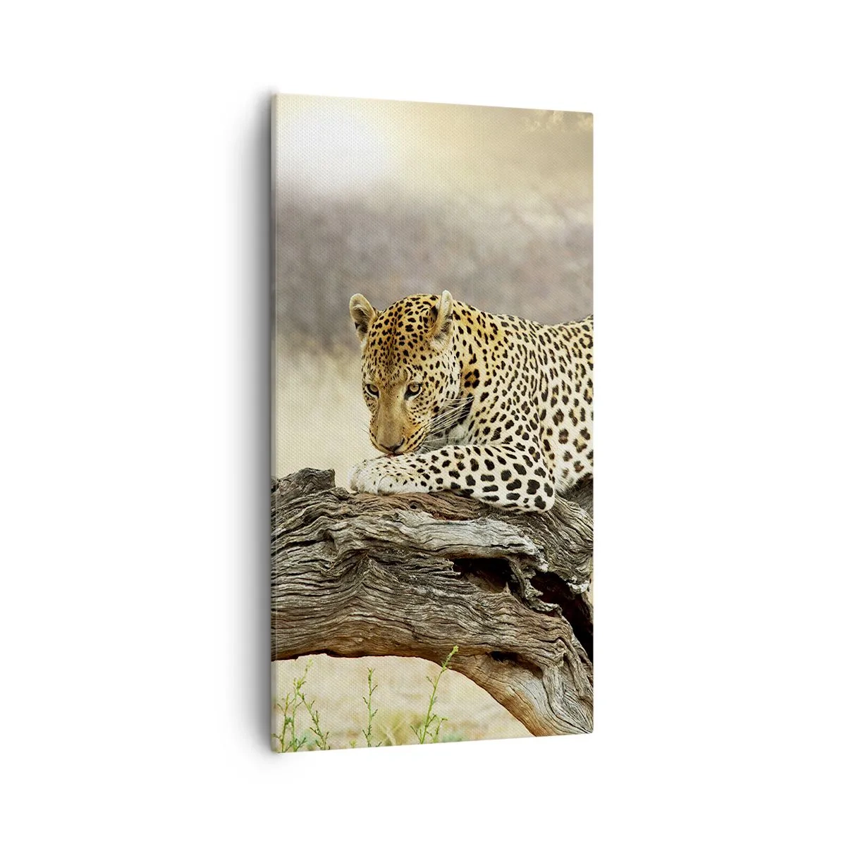 Canvas picture - I Mark My Own Path - 55x100 cm