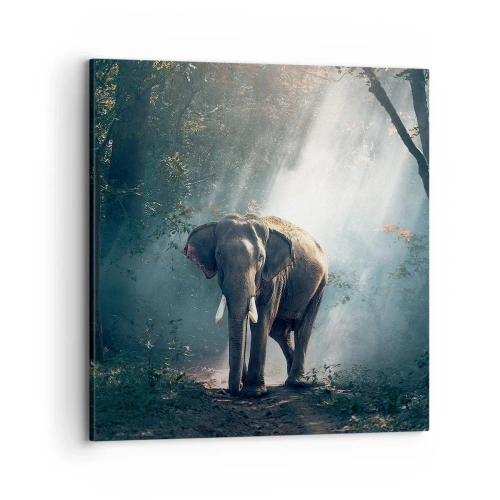 Canvas picture - Quiet Stroll - 70x70 cm