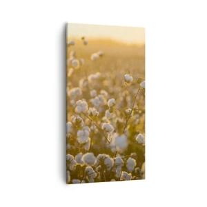 Canvas picture - Fluffy Field - 55x100 cm
