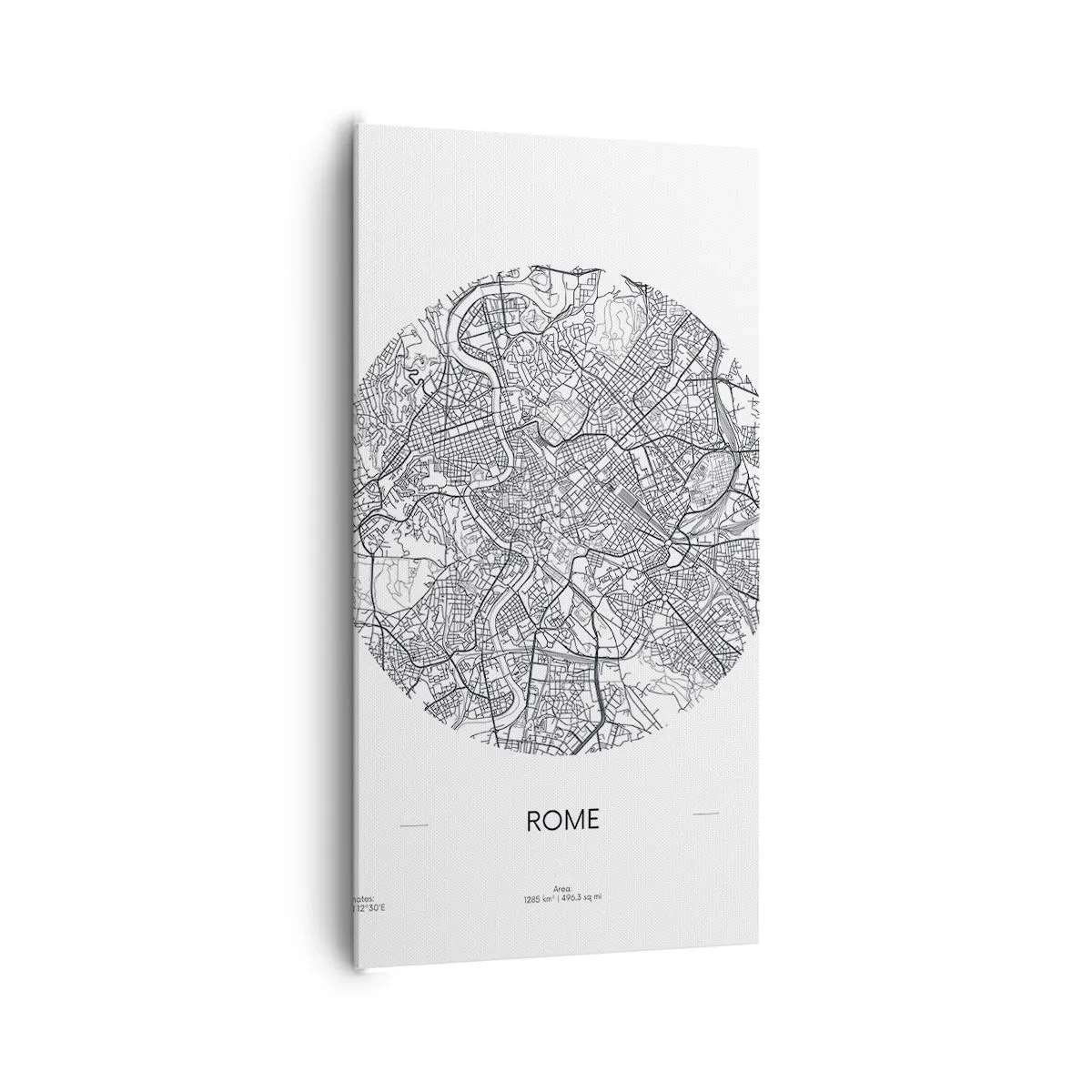 Canvas picture - Anatomy of Rome - 65x120 cm