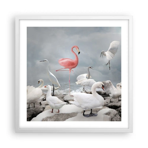 Poster in white frmae - Where Did I Come from? - 50x50 cm