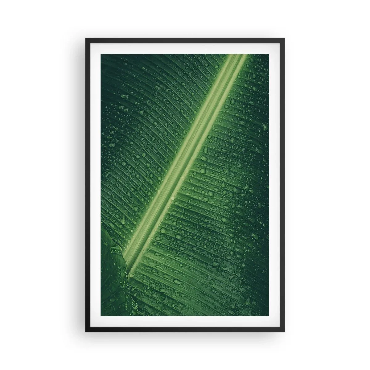 Poster in black frame - Structure of Green - 61x91 cm