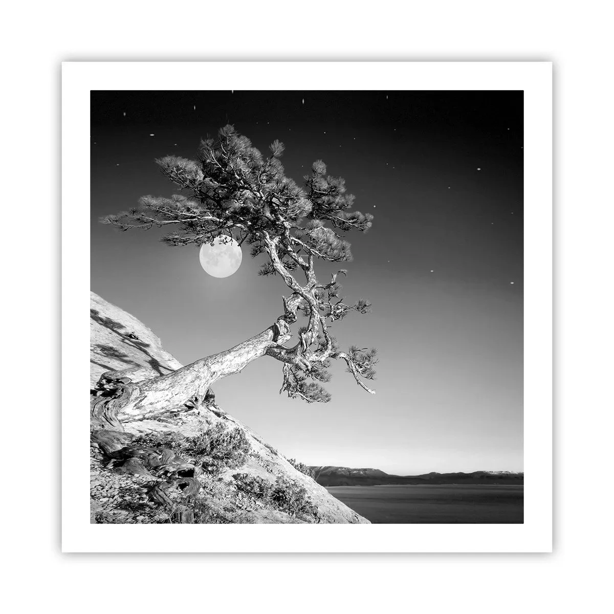 Poster - Winning Warrior - 60x60 cm