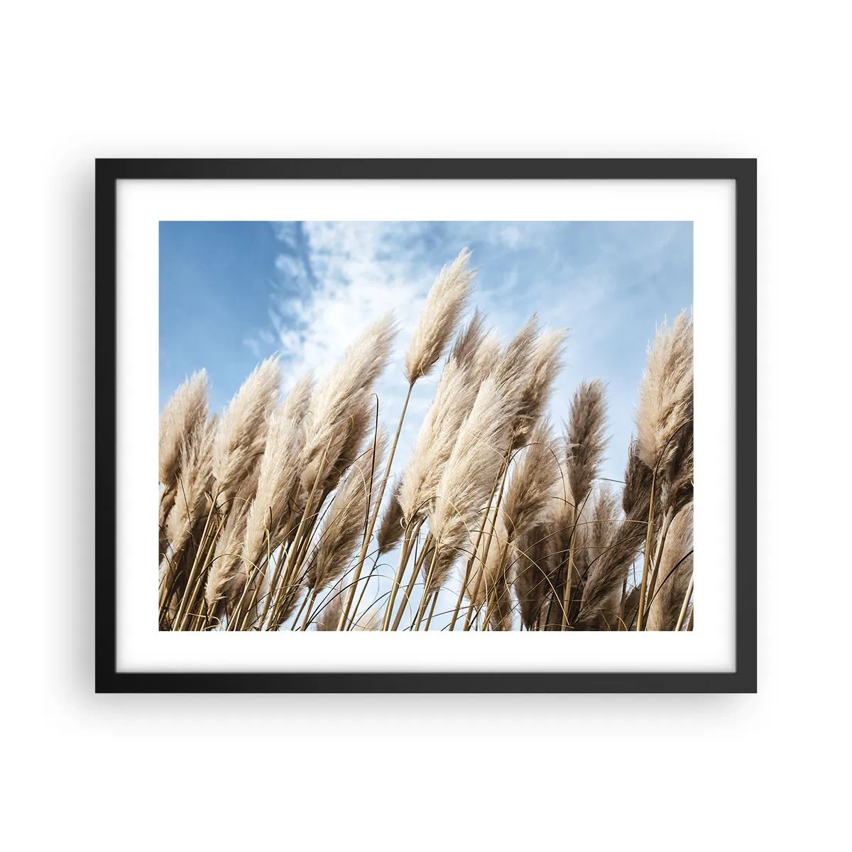 Poster in black frame - Caress of Sun and Wind - 50x40 cm