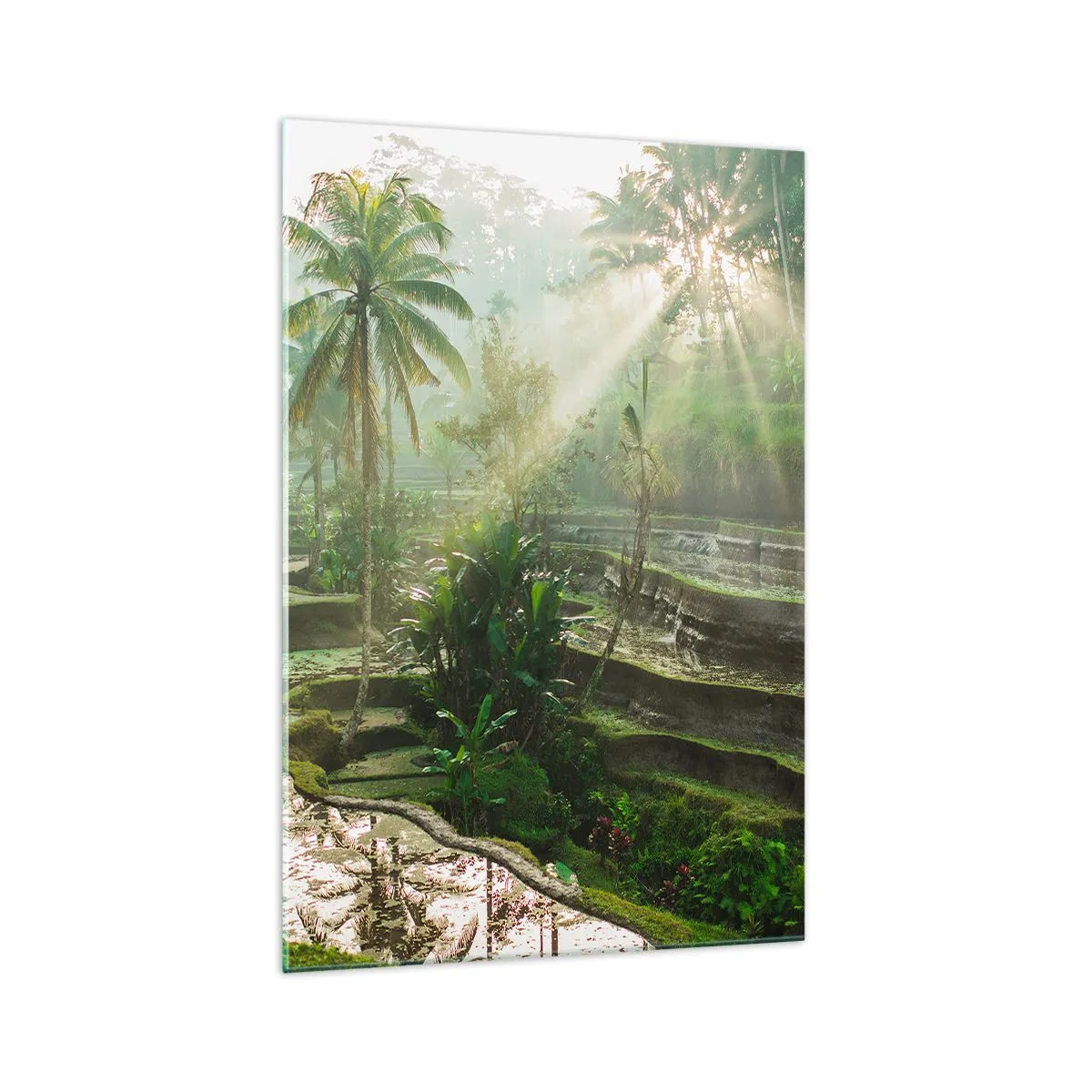 Glass picture - Maturing in the Sun - 70x100 cm