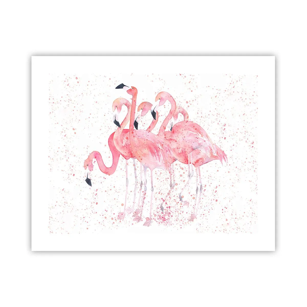 Poster - Pink Power - 50x40 cm