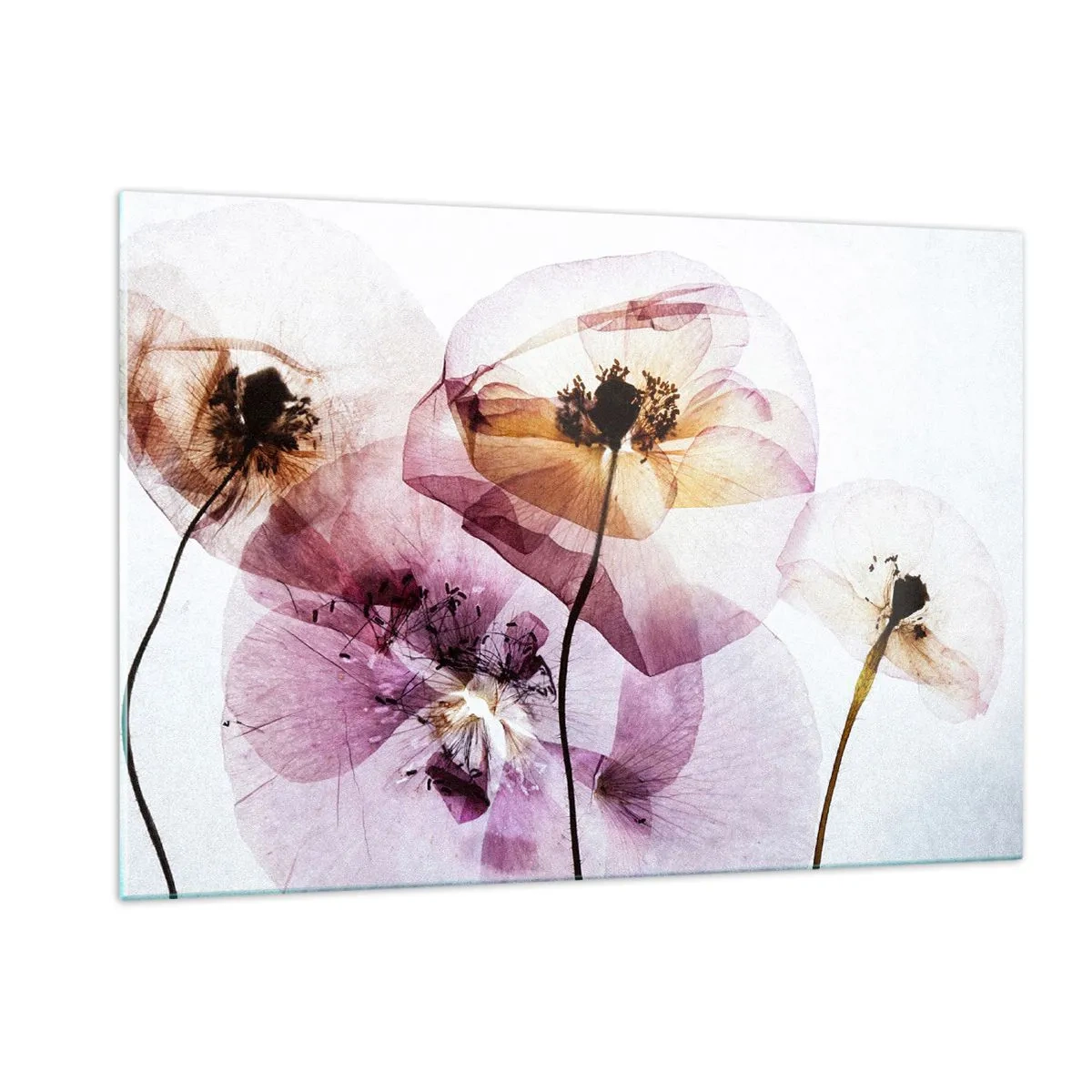 Glass picture - Flower Body Slide - 120x80 cm