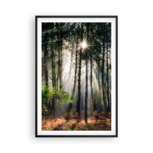 Poster in black frame - Woodland Area - 61x91 cm