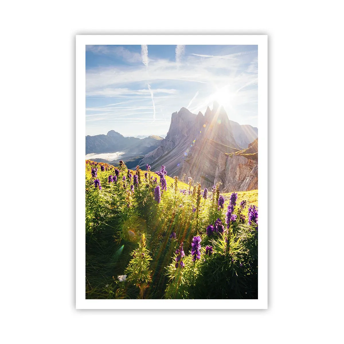 Poster - Secret Life of Herbs - 70x100 cm