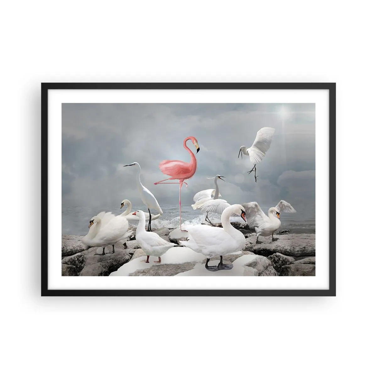 Poster in black frame - Where Did I Come from? - 70x50 cm