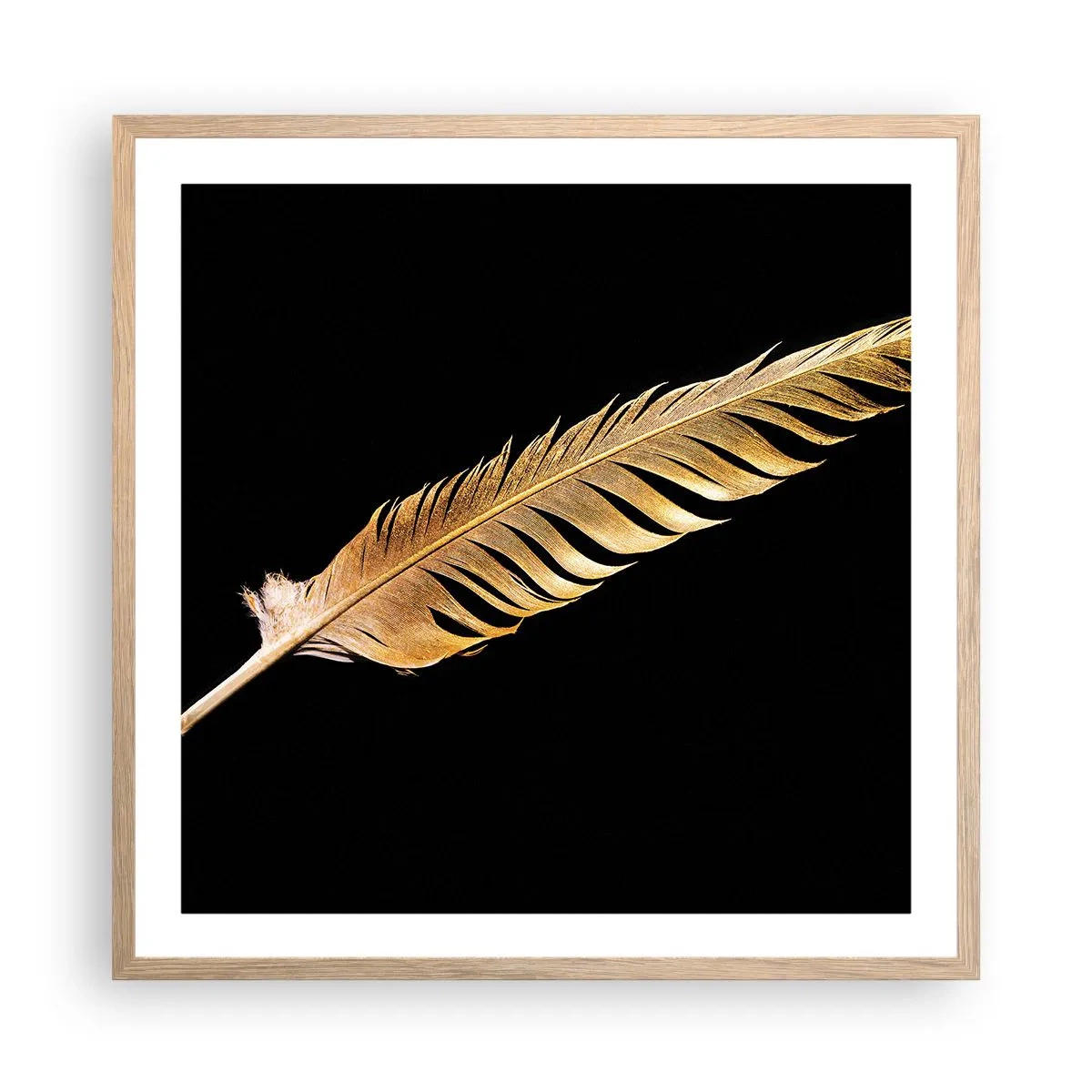 Poster in light oak frame - High-Class Feather - 60x60 cm