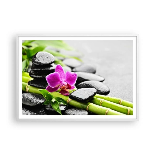 Poster in white frmae - In a Peaceful Balance - 100x70 cm