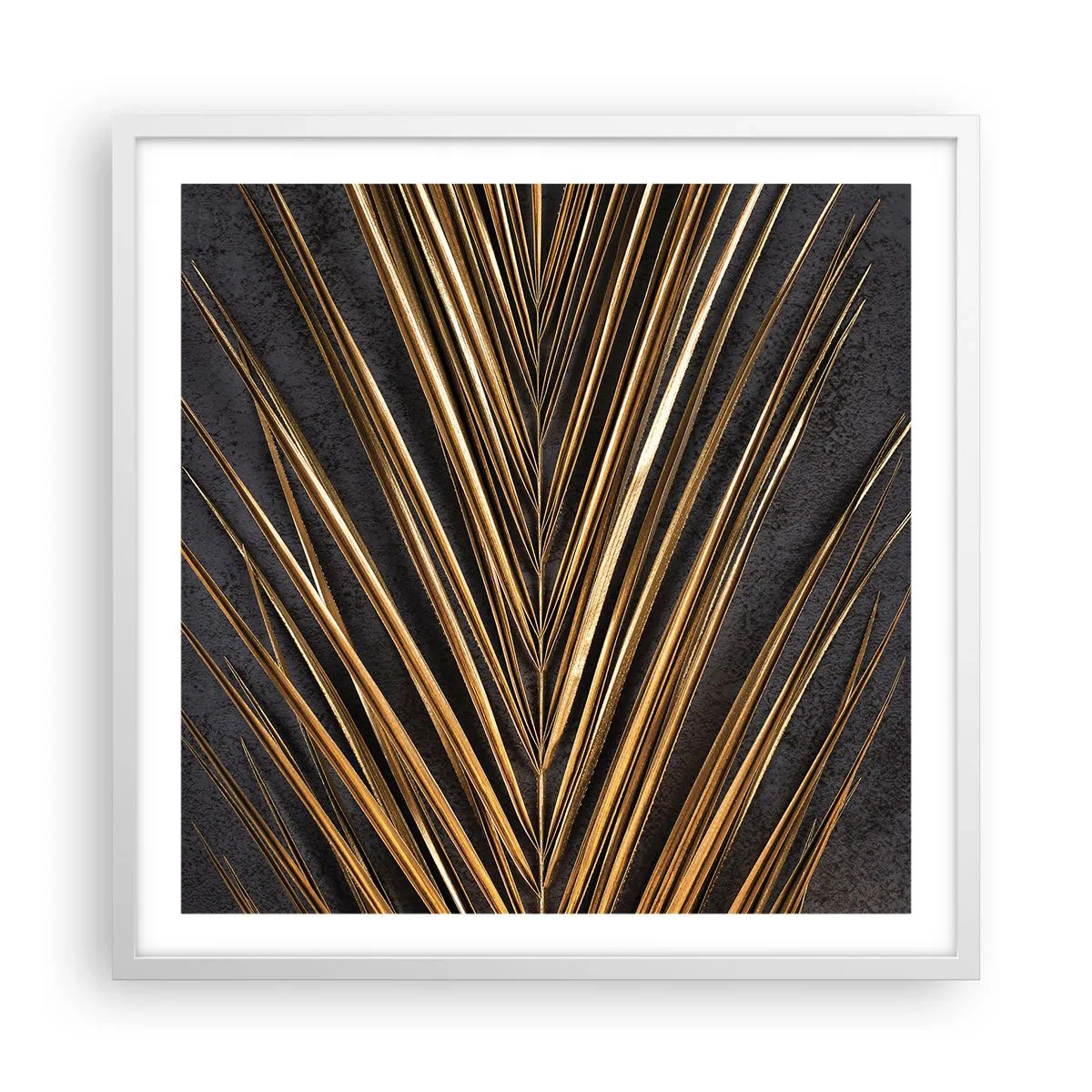 Poster in white frmae - Gold of the Tropics - 60x60 cm