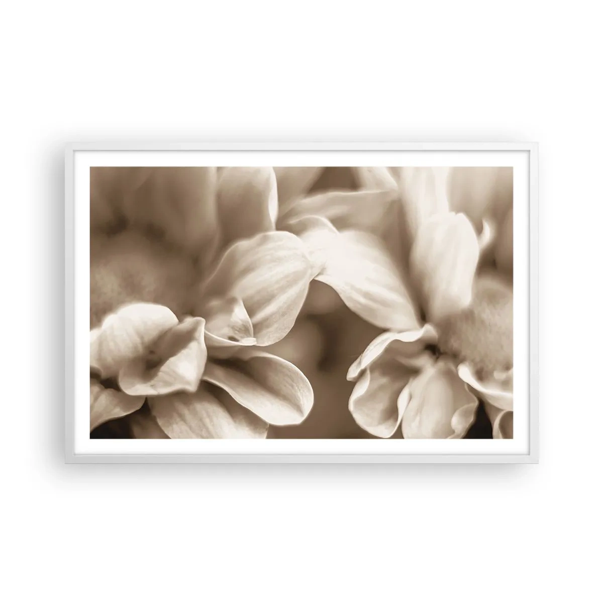 Poster in white frmae - Soft as a Smile - 91x61 cm