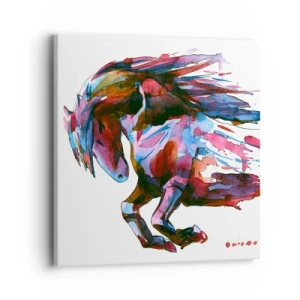 Canvas picture - In Elation - 40x40 cm