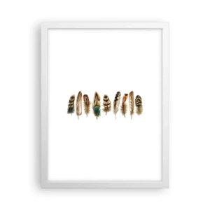 Poster in white frmae - Feather Variation - 30x40 cm