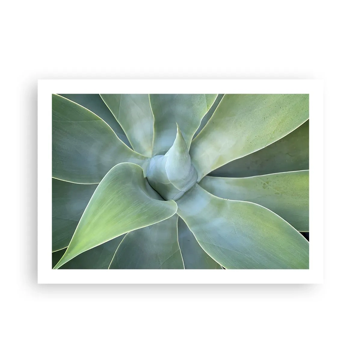 Poster - Birth of Green - 70x50 cm