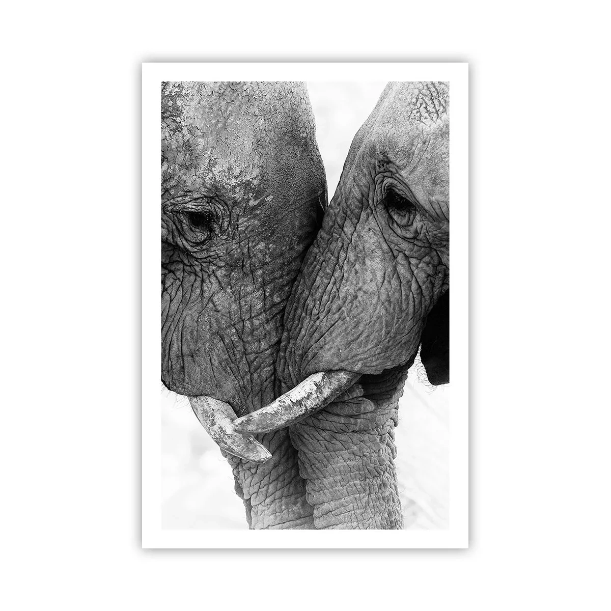 Poster - Hearty Confession - 61x91 cm