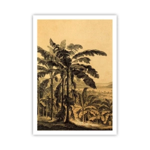 Poster - In Colonial Character - 70x100 cm
