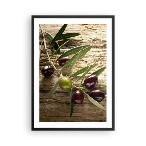 Poster in black frame - Olive branch with green and black olives - 50x70cm - Straight from Nature - Modern wall decoration for the living room and bedroom ARTTOR