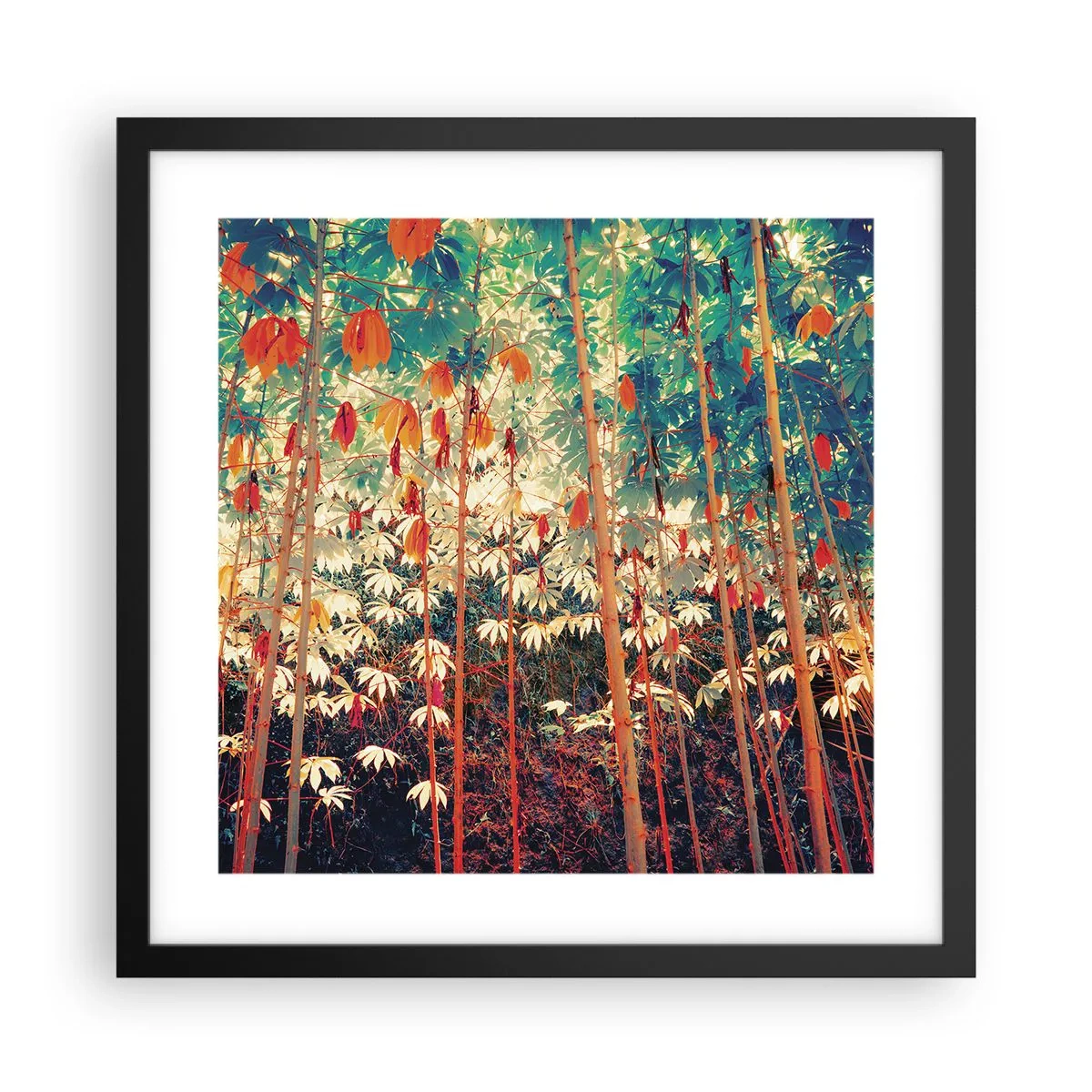 Poster in black frame - Secret Life of Leaves - 40x40 cm