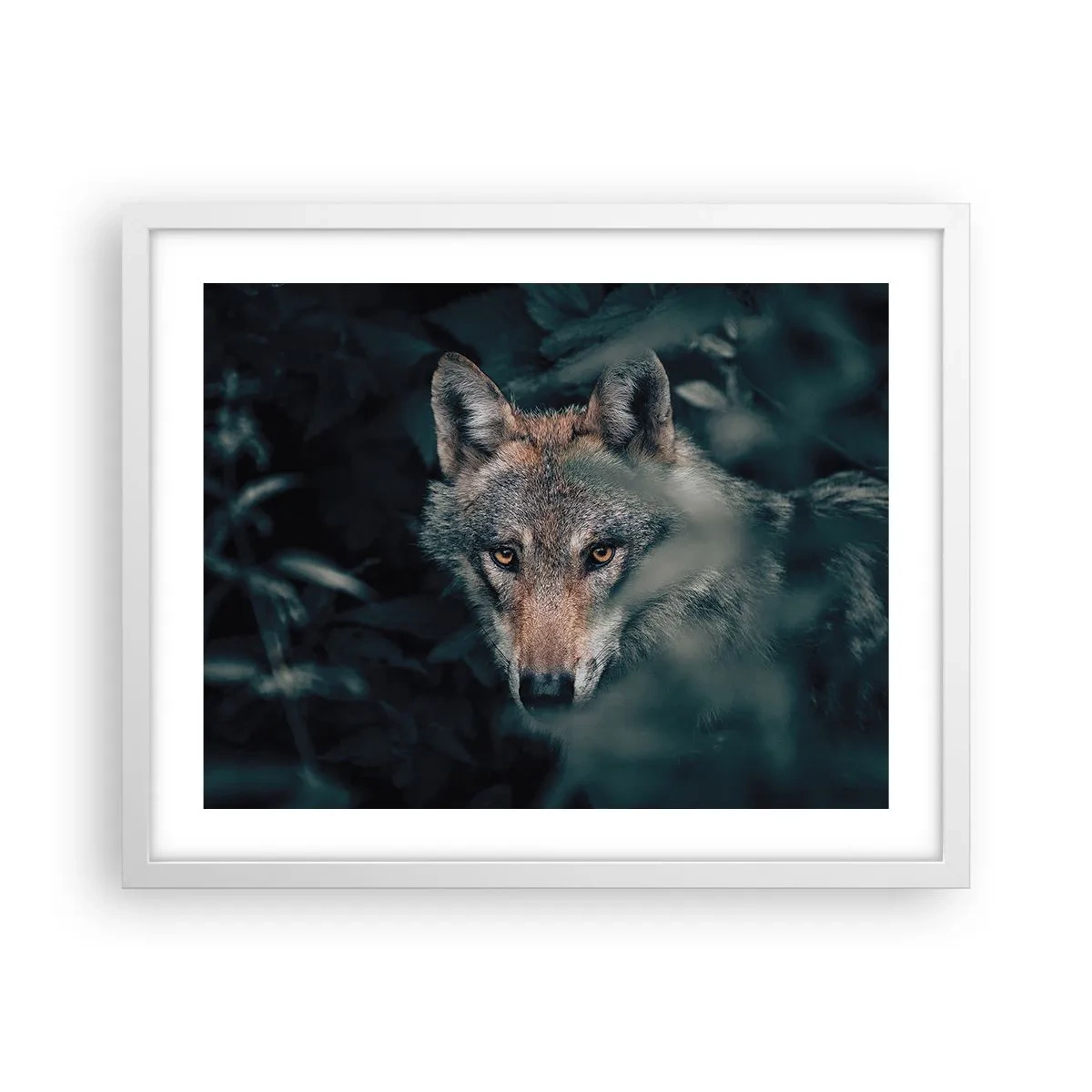 Poster in white frmae - Hunter - 50x40 cm