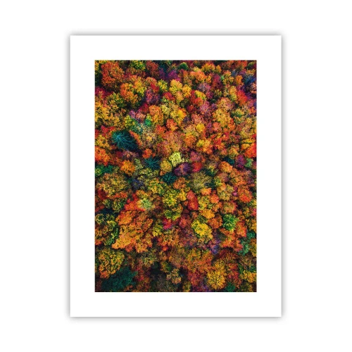 Poster - Bouquet of Autumn Flowers - 30x40 cm