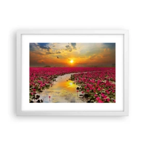 Poster in white frmae - Secret Life of a Lake - 40x30 cm