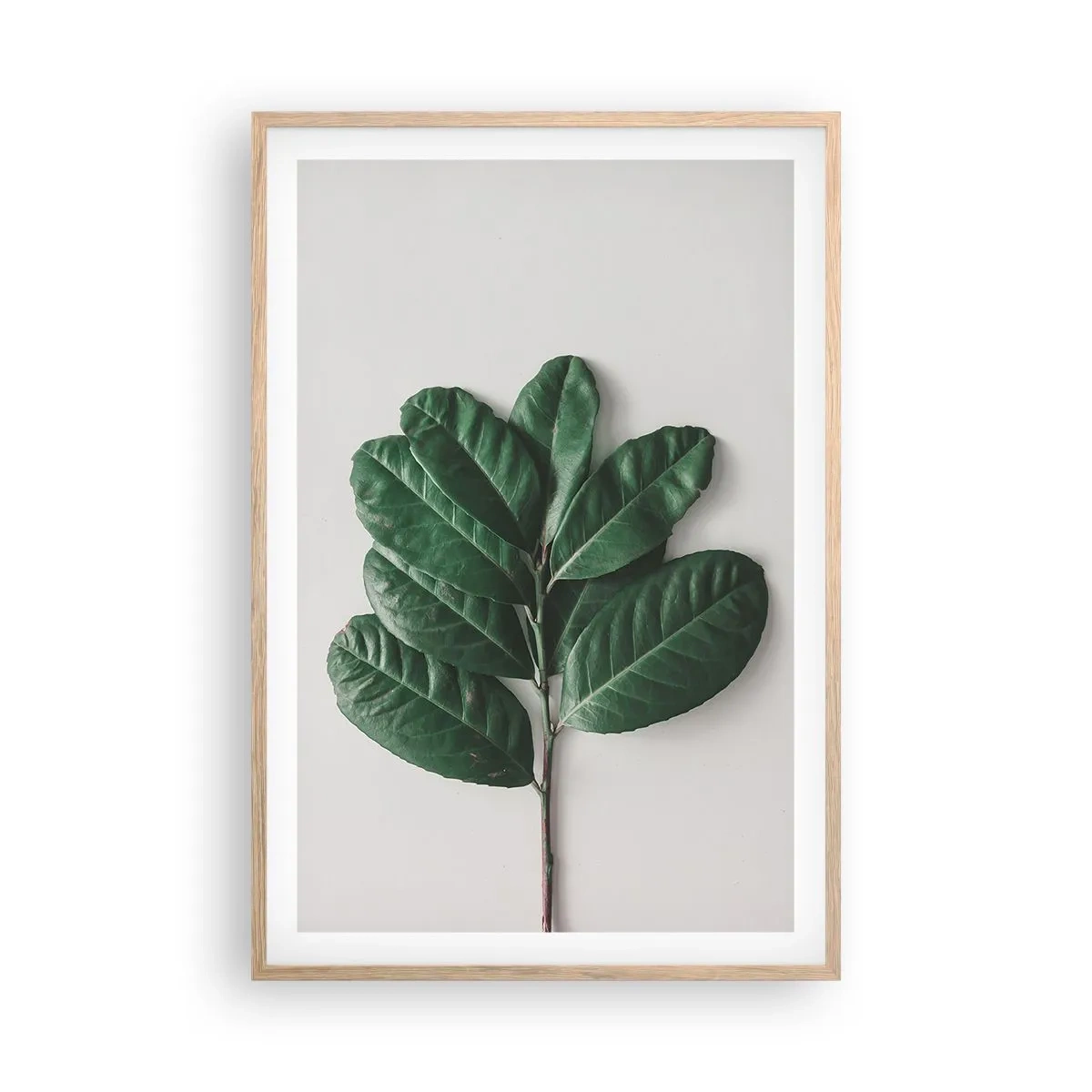Poster in light oak frame - Drawing of Nature Itself - 61x91 cm
