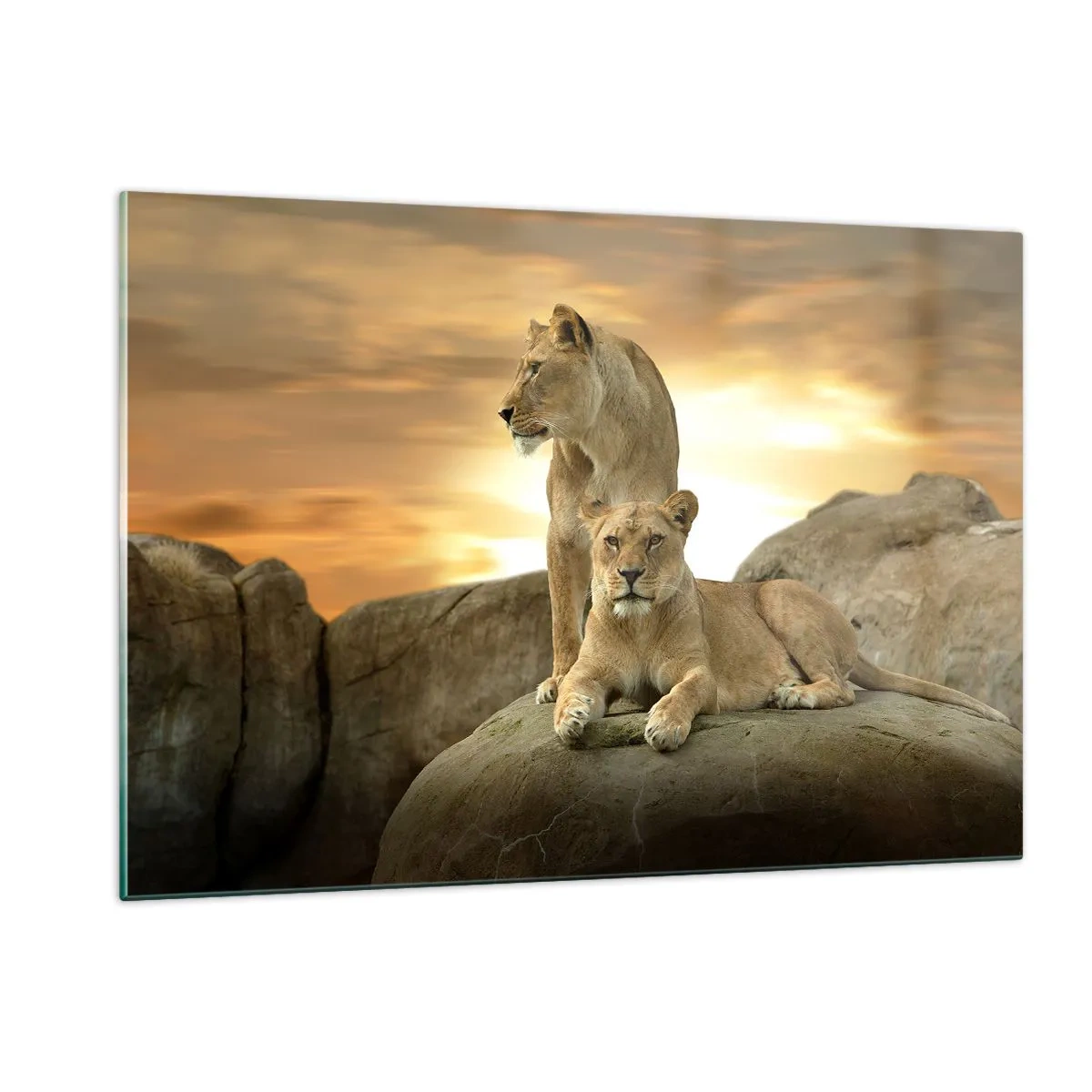 Glass picture - Royal Majesty - 120x80 cm