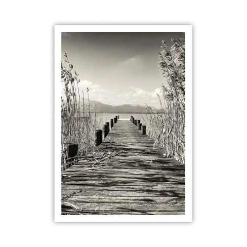 Poster - In the Grass - 70x100 cm