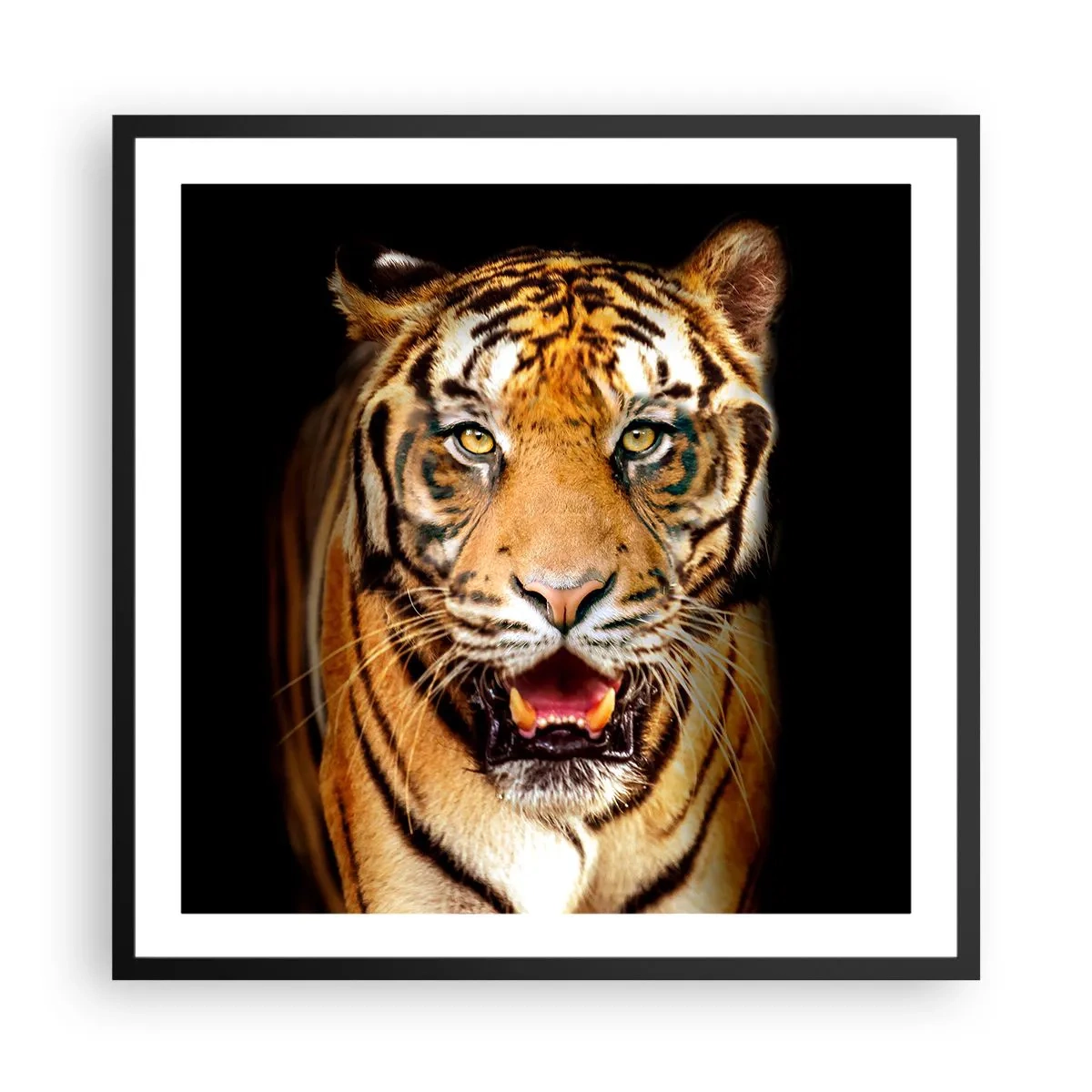 Poster in black frame - Wild at Heart - 60x60 cm