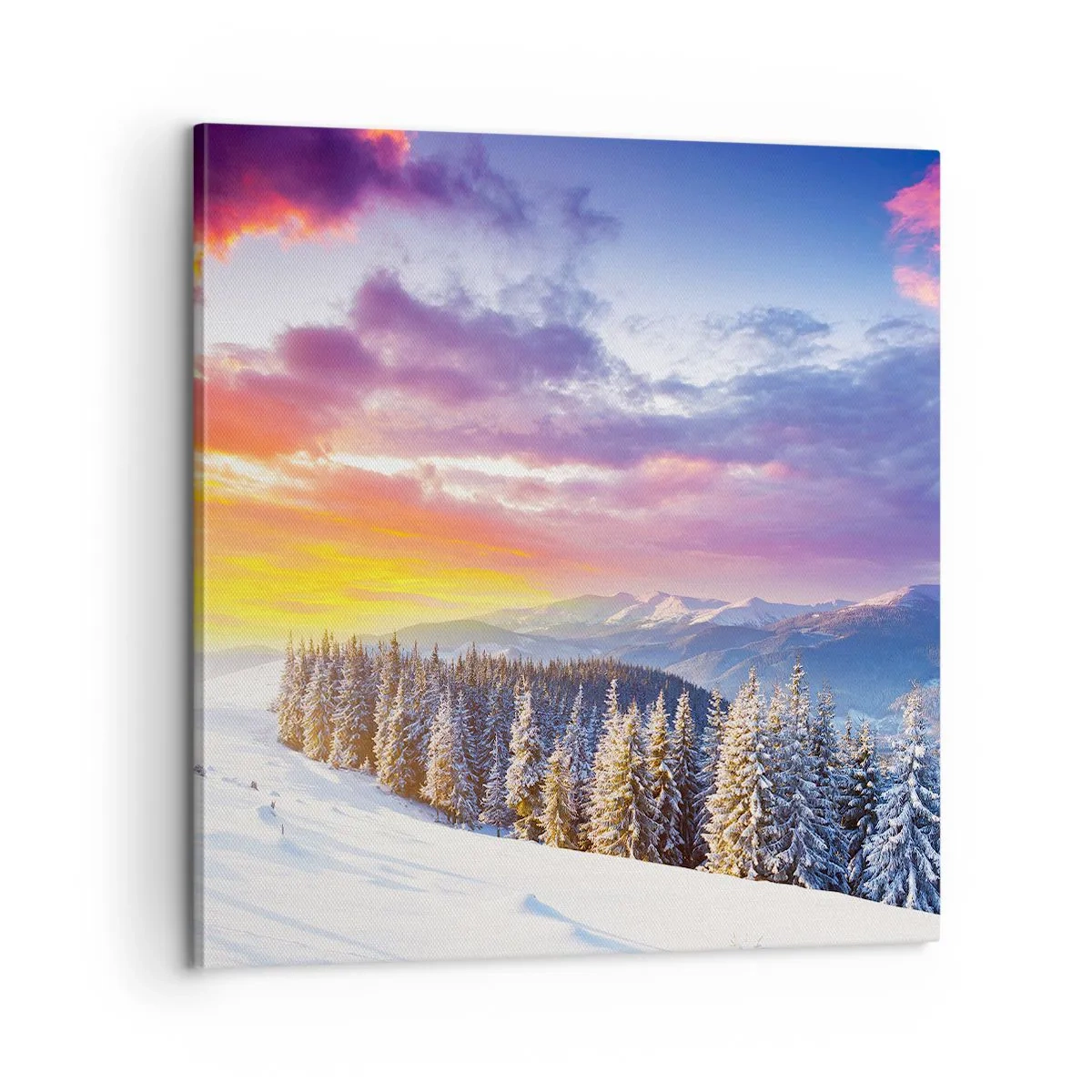 Canvas picture - In Plain Daylight - 60x60 cm