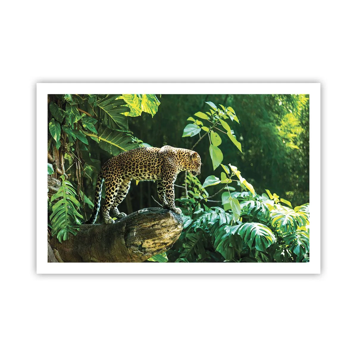 Poster - Going Hunting? - 91x61 cm
