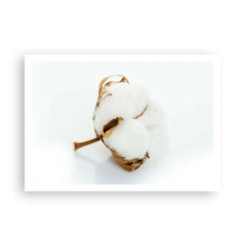 Poster - Soft By Nature - 100x70 cm