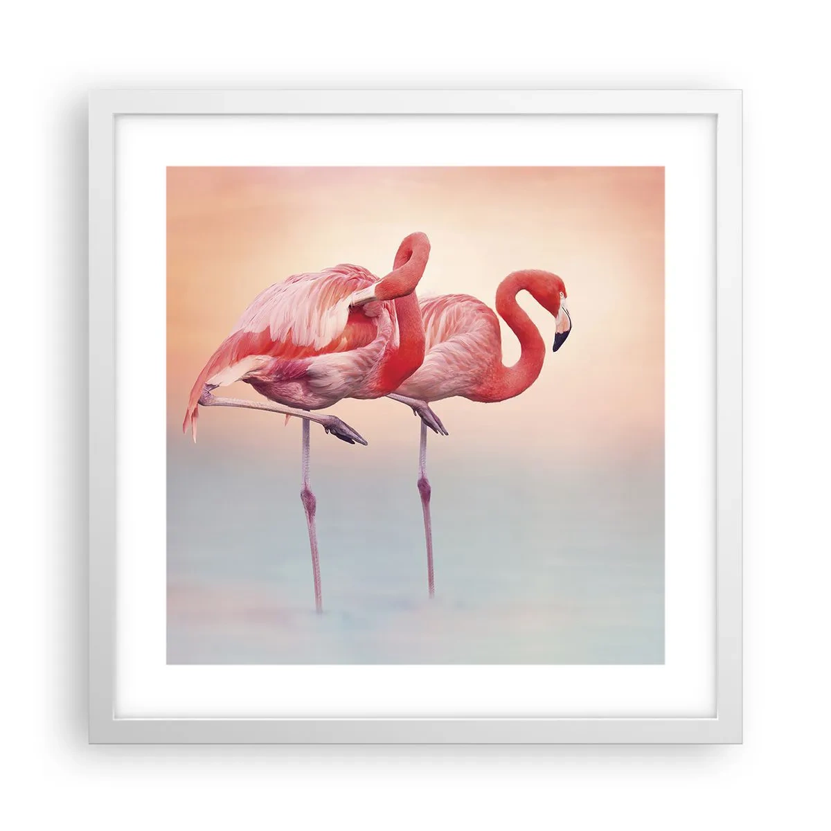 Poster in white frmae - In the Colour Of Sunset - 40x40 cm