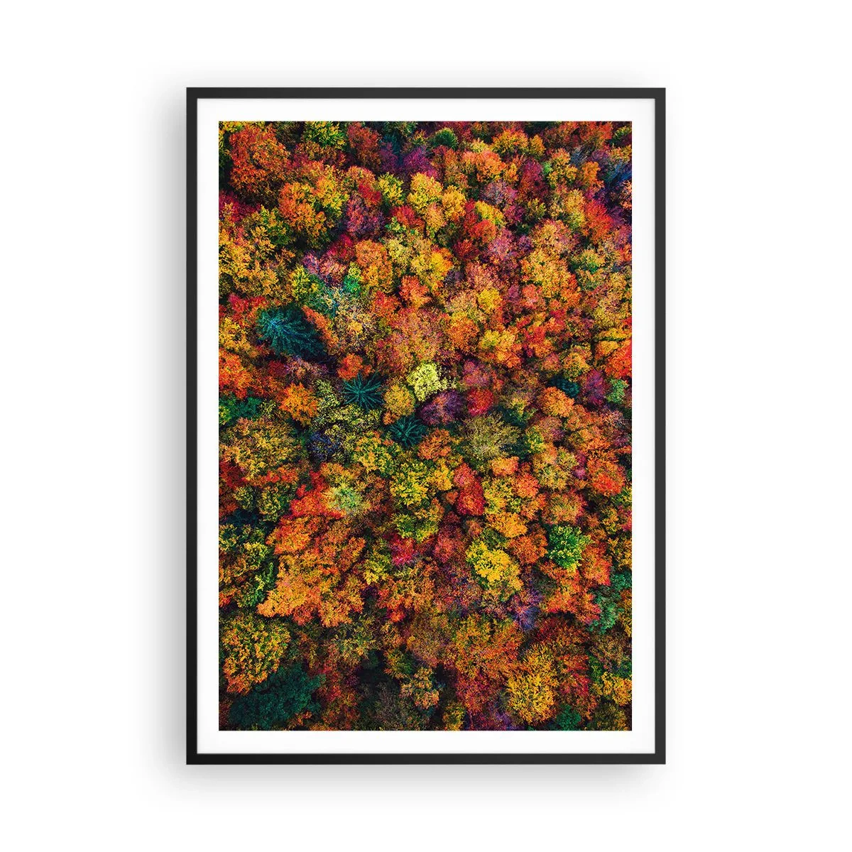 Poster in black frame - Bouquet of Autumn Flowers - 70x100 cm