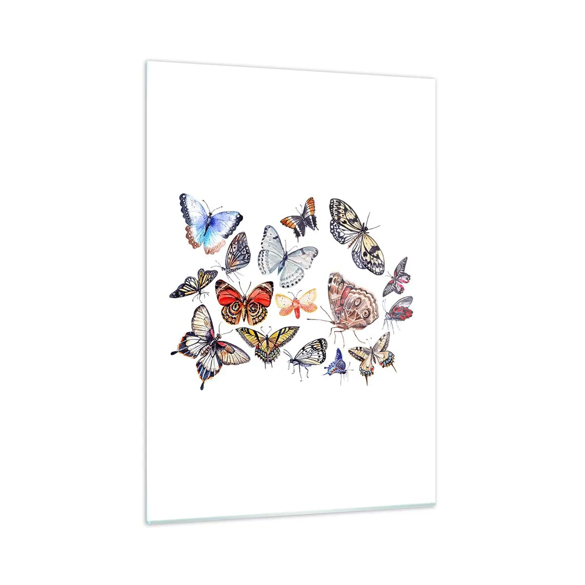 Glass picture - Colourful Swarm - 50x70 cm