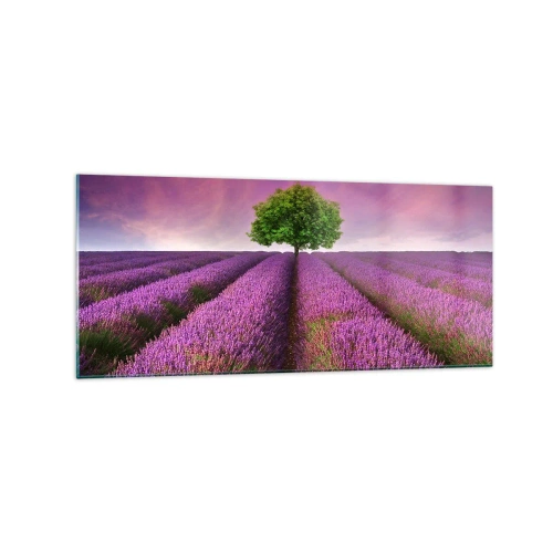Glass picture - In the Fields of Lavender - 120x50 cm