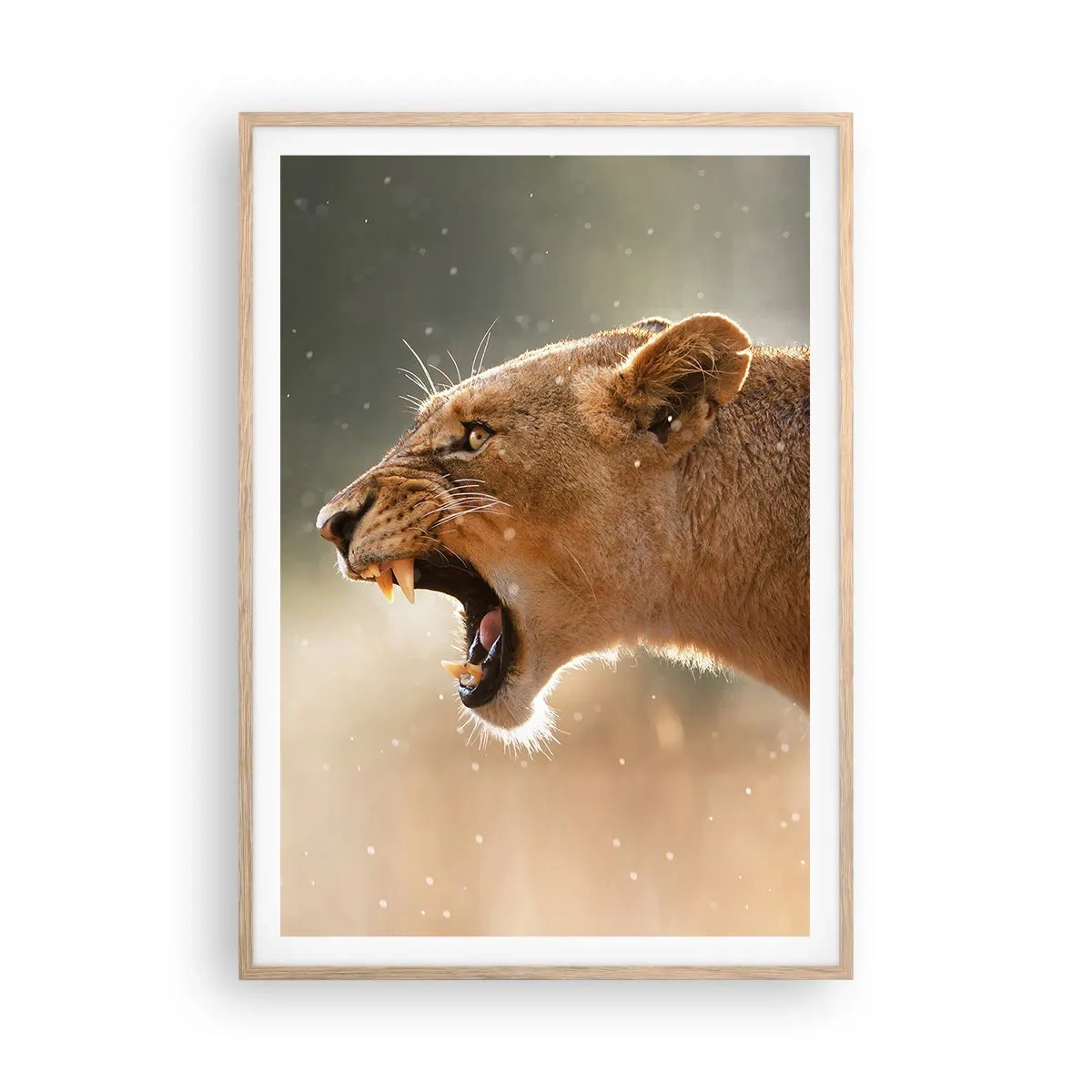 Poster in light oak frame - Try Not to Listen - 70x100 cm