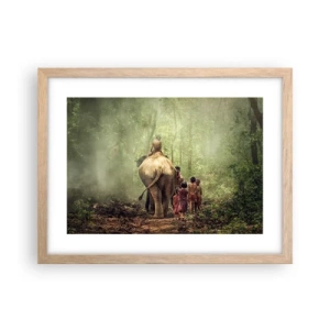 Poster in light oak frame - New Jungle Book - 40x30 cm
