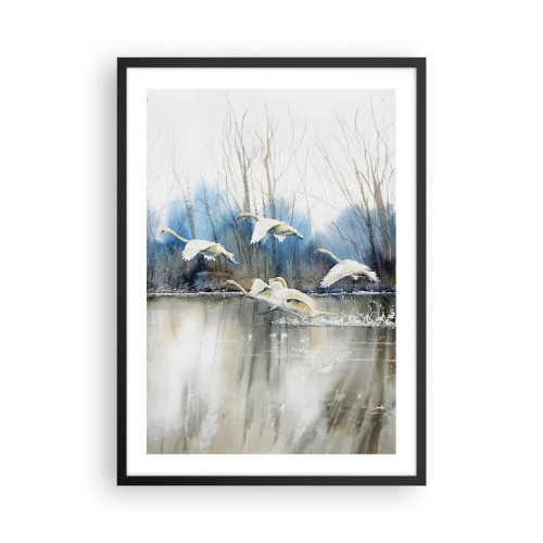 Poster in black frame - flock of swans floating over the water in a painterly style - 50x70cm - Like in a Fairy Tale about Wild Swans - Modern wall decoration for the living room and bedroom ARTTOR