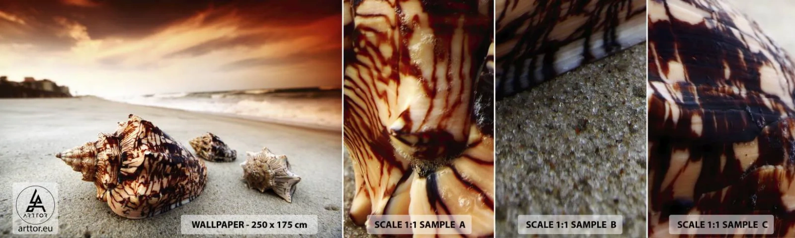 Photo Wallpaper Sample Standard Eco - Expelled by Waves - Landscape, Sea, Seashell - 100x30 cm