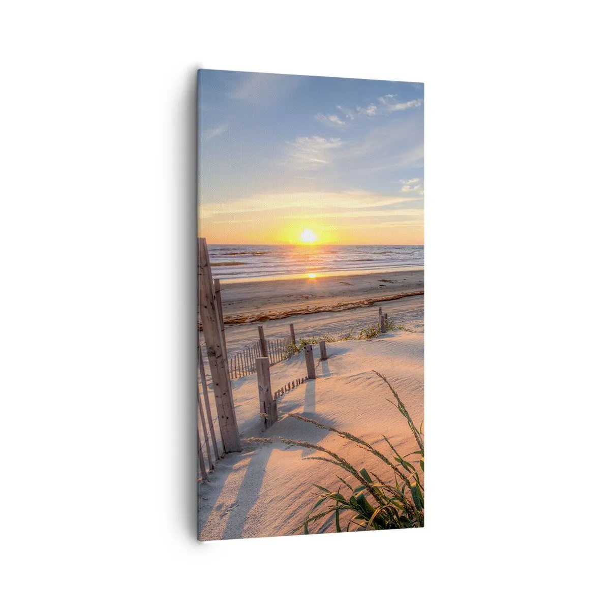 Canvas picture - Light and Shade of the Wind - 65x120 cm