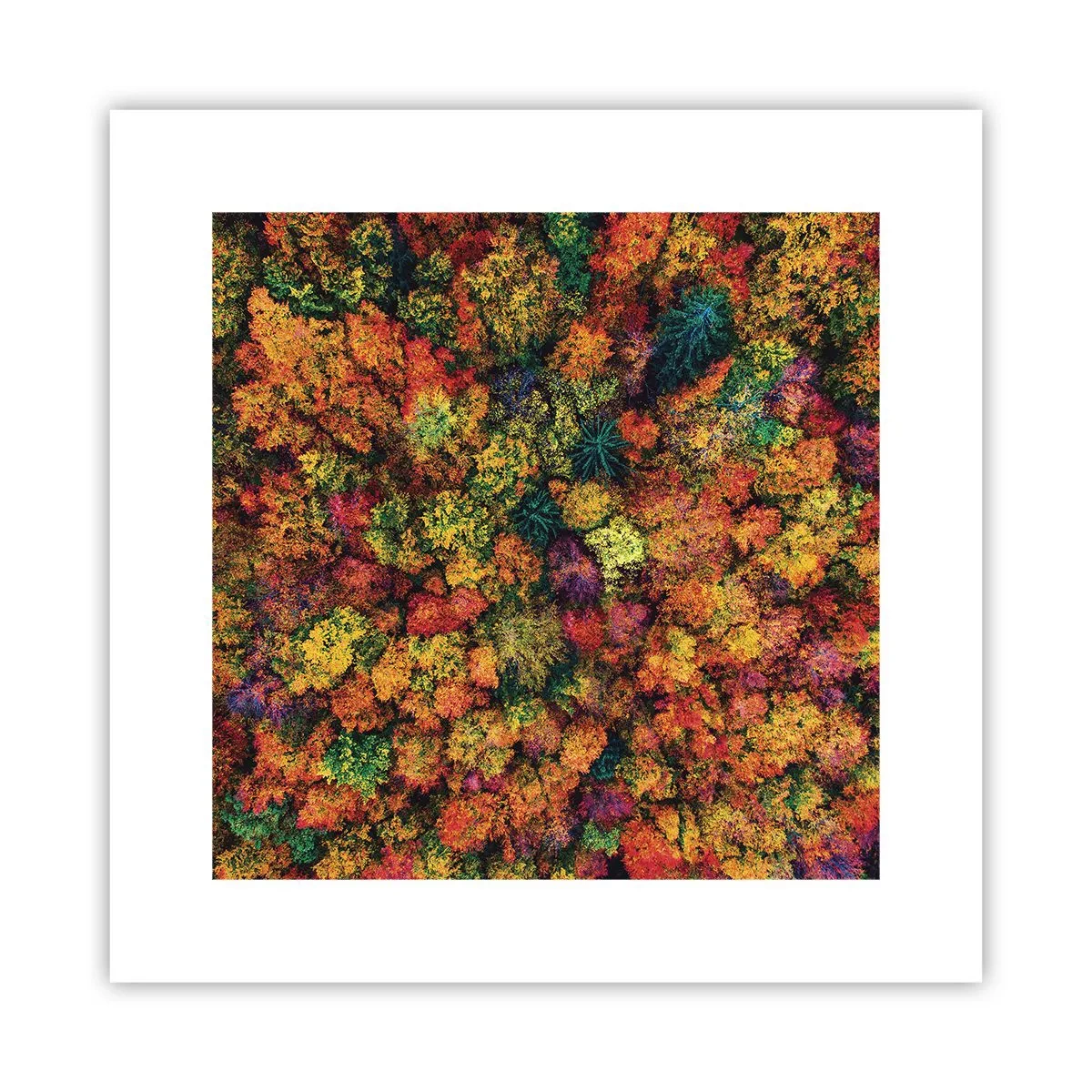 Poster - Bouquet of Autumn Flowers - 30x30 cm